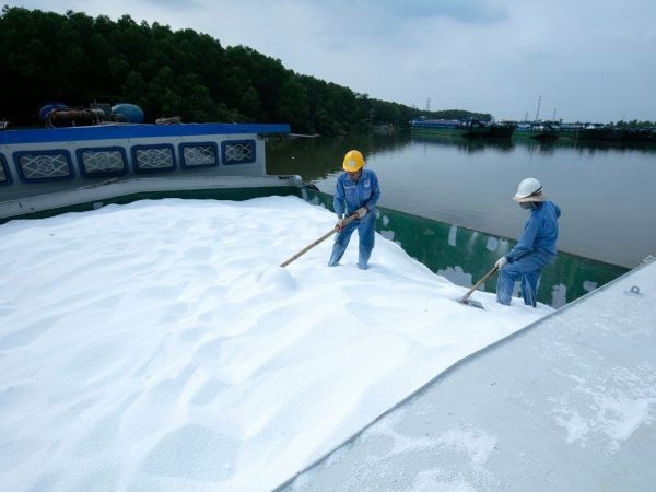 Thị trường phân bón ghi nhận nhiều tín hiệu khởi sắc